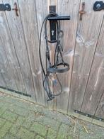 Shetland hoofdstel, Dieren en Toebehoren, Ophalen of Verzenden, Overige soorten