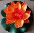 Mini Waterlelie 'Sunset' - 9,5 cm [B-186], Ophalen, Kunststof, Rond, Nieuw