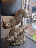 Lynx Beeld op Rots, Ophalen