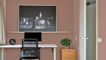 IKEA Schilderij Havik Amersfoort beschikbaar voor biedingen