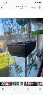 Heel mooi en handig vogel kooi, Dieren en Toebehoren, Vogels | Hokken en Kooien, Ophalen of Verzenden, Zo goed als nieuw, Metaal