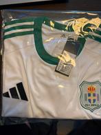 PEC Zwolle originals shirt, Maat L, Ophalen of Verzenden, Nieuw, Shirt