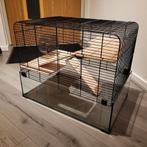 Interzoo Hamsterkooi Vision 58, zwart, Kooi, Minder dan 75 cm, Zo goed als nieuw, Ophalen