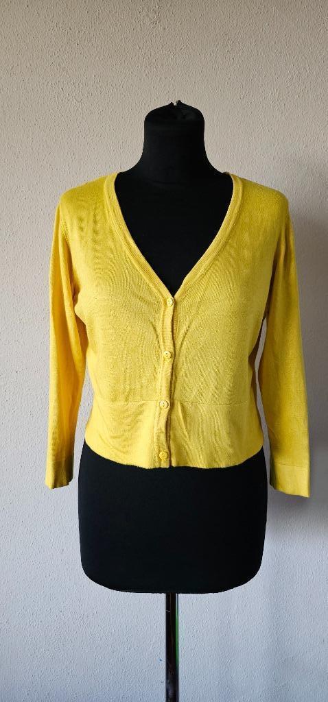 gele vest van Zilch maat xl (27725), Kleding | Dames, Truien en Vesten, Maat 46/48 (XL) of groter, Geel, Ophalen of Verzenden