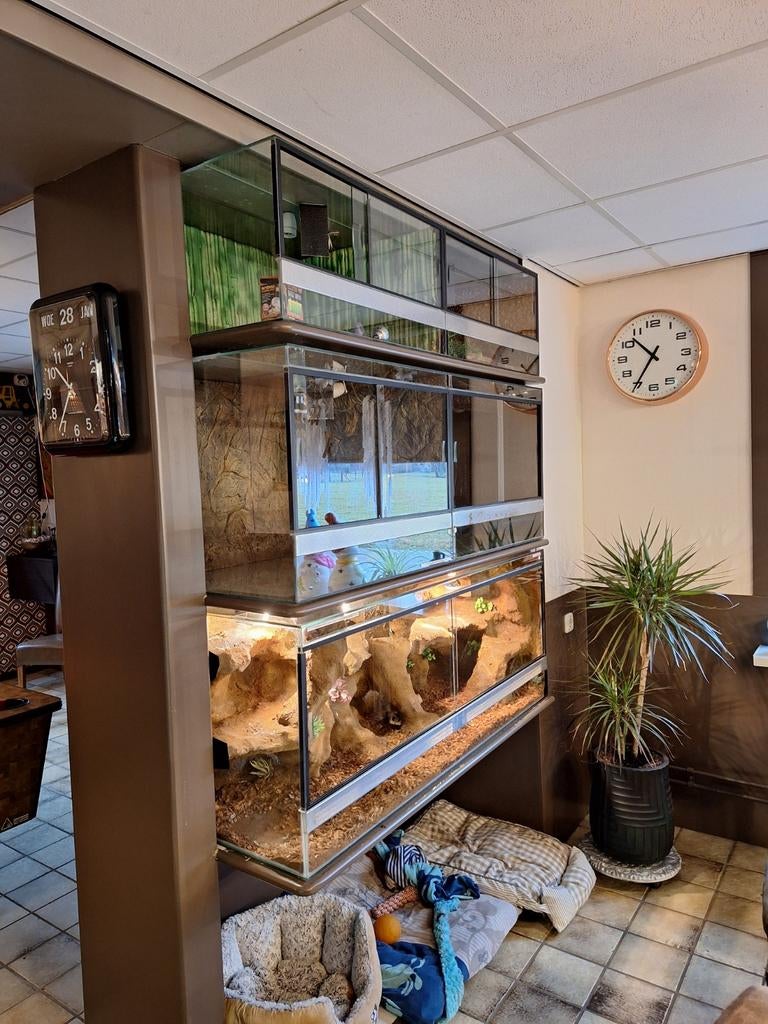 Volglas dubbel terrarium, Ophalen