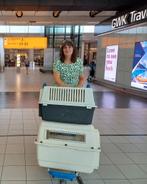 Gezocht gastgezinnen, Dieren en Toebehoren, Honden | Niet-rashonden, Particulier, Rabiës (hondsdolheid), Buitenland, Meerdere