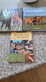 3 paarden boeken, Ophalen of Verzenden, Gelezen, Paarden of Pony's