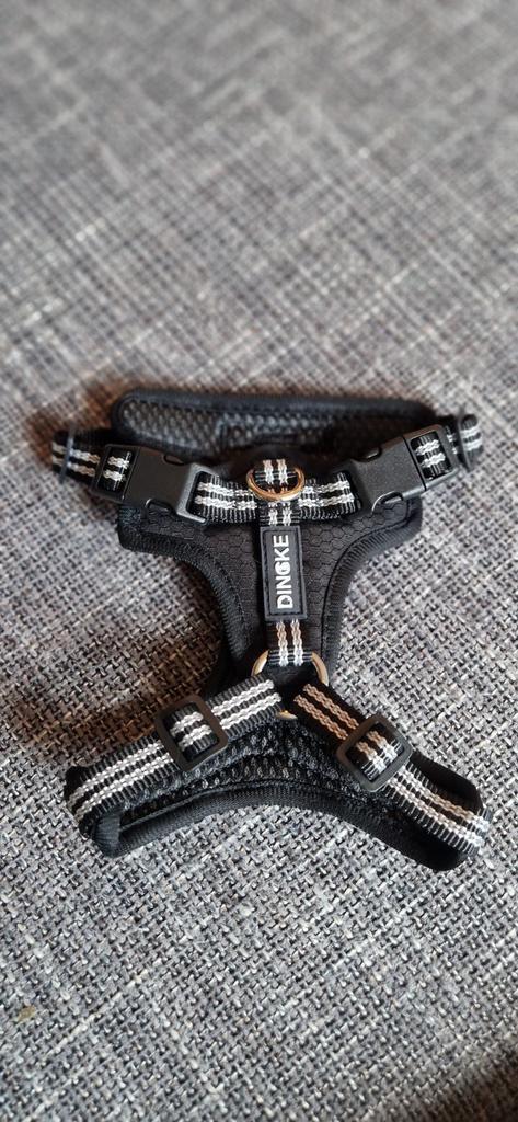Hondentuigje *nieuw!* maat XS, Dieren en Toebehoren, Hondenhalsbanden en Penningen, Nieuw, Verlicht, Ophalen