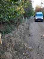 Plaatsen schapengaas vanaf €10,- m1 geplaatst incl materiaal, Ophalen, Nieuw, 20 meter of meer, Gaas