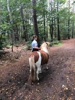 Lease paard/pony gezocht!, Ophalen