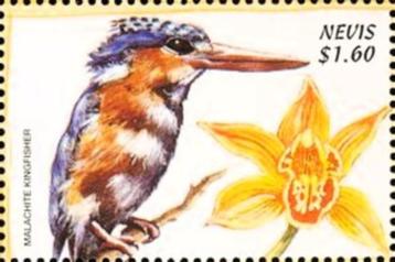 1999 Nevis - Fauna Vogels  IJsvogel