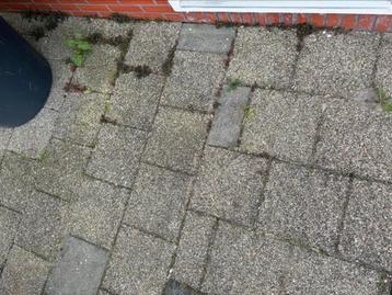 Tuintegels 30x30 40 stuks  beschikbaar voor biedingen