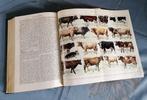gratis af te halen: Encyclopedie, Boeken, Encyclopedieën, Complete serie, Overige onderwerpen, Ophalen, Gelezen