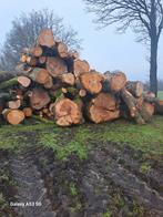 Beuken amerikaanse eiken stammen, Tuin en Terras, Haardhout, 6 m³ of meer, Ophalen