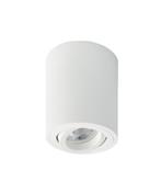 Opbouwspot rond Rebel GU10 wit dimbaar, Metaal of Aluminium, Ophalen of Verzenden, Led, Plafondspot of Wandspot