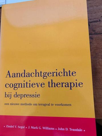 Aandacht gerichte cognitieve therapie bij depressie   beschikbaar voor biedingen