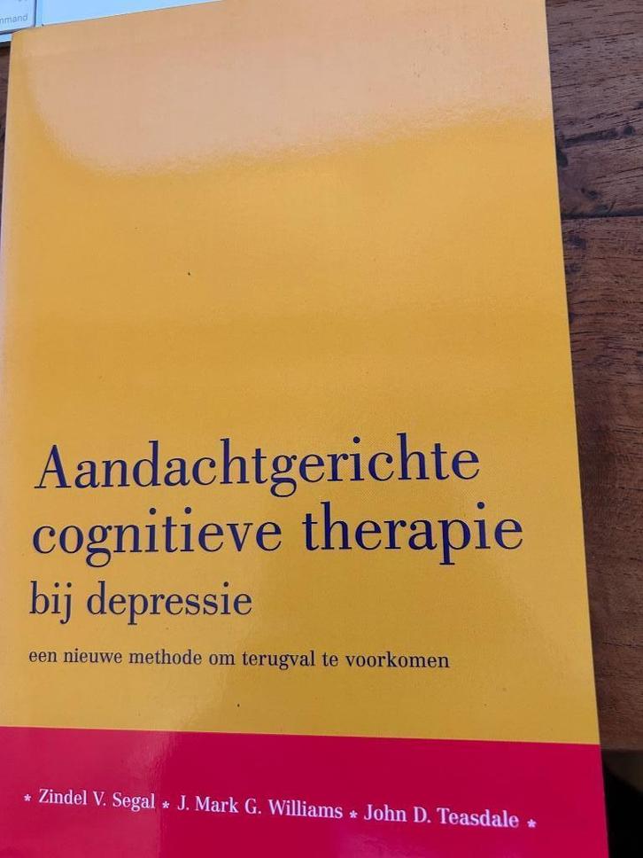 Aandacht gerichte cognitieve therapie bij depressie, Boeken, Psychologie, Zo goed als nieuw, Cognitieve psychologie, Ophalen of Verzenden