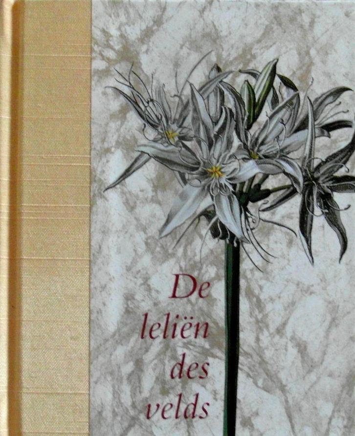 DE LELIËN DES VELDS, Schatten uit de Vaticaanse Bibliotheek, Boeken, Kunst en Cultuur | Beeldend, Zo goed als nieuw, Ophalen of Verzenden