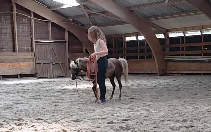 Verzorgpaard gezocht/verzorgster aangeboden, Dieren en Toebehoren, Paarden en Pony's | Verzorgingsproducten, Nieuw, Ophalen of Verzenden