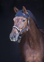 CATAGO FIR-TECH HOOD muts paarden full, Ophalen of Verzenden, Zo goed als nieuw, Overige soorten