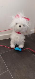 Schattige Speelgoed Hond, Ophalen of Verzenden, Zo goed als nieuw, Hond