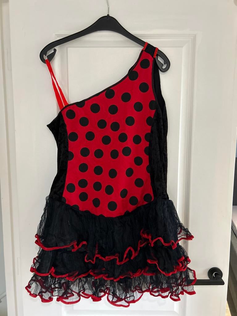 Lieveheersbeestje carnavalsoutfit, Kleding | Dames, Carnavalskleding en Feestkleding, Maat 38/40 (M), Carnaval, Ophalen of Verzenden