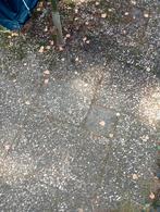 Gratis grindtegels. Ongeveer 21 m2, Ophalen, Zo goed als nieuw, 10 m² of meer, Beton