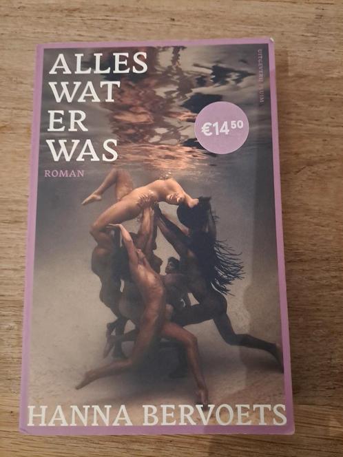 Hanna Bervoets - Alles wat er was, Boeken, Literatuur, Zo goed als nieuw, Nederland, Ophalen of Verzenden