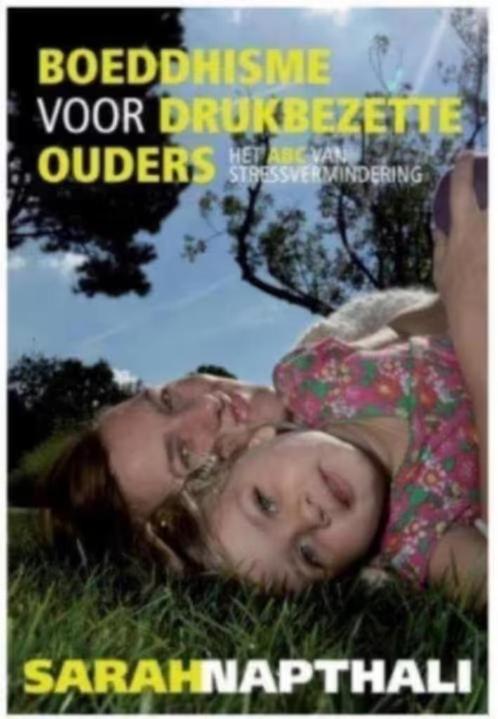 Boeddhisme voor drukbezette ouders, Boeken, Filosofie, Zo goed als nieuw, Ophalen of Verzenden