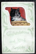 Jugendstil-poes groet u vriendelijk, 1911, USA, reliefkaart, Verzamelen, Gelopen, Voor 1920, Verzenden, Hond of Kat