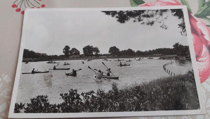 Oude Ansichtkaart De Efteling Roeivijver, Verzamelen, Efteling, Ophalen of Verzenden