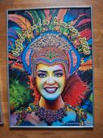 carnaval posters incl. ophangrail, Ophalen, Carnaval, Maat 46/48 (XL) of groter, Zo goed als nieuw