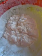 Kefir yoghurtplantje melkkefir kefirkorrels probiotica biolo, Ophalen