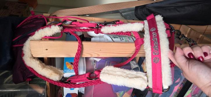 Setje eskadron te koop ( full/205 ), Dieren en Toebehoren, Paarden en Pony's | Dekens en Dekjes, Gebruikt, Ophalen of Verzenden