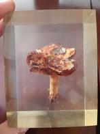 PADESTOEL IN EPOXY!, Ophalen of Verzenden, Gebruikt