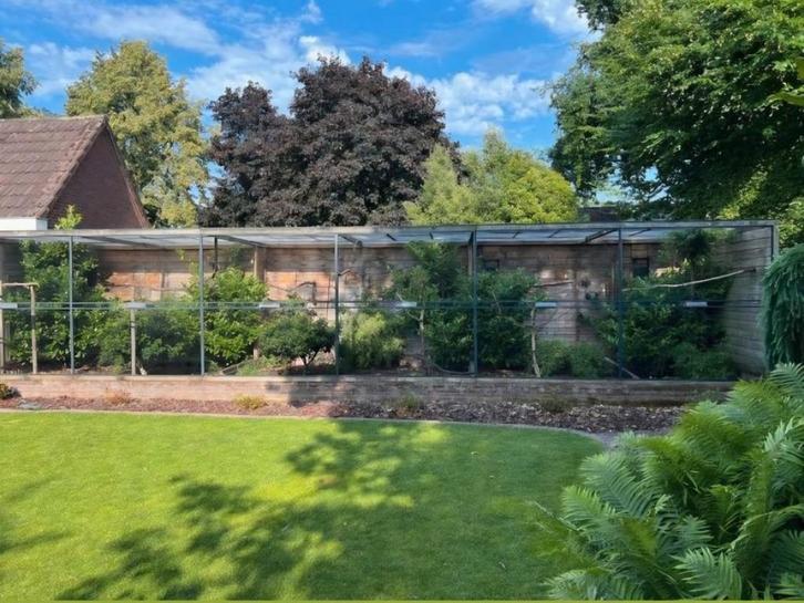 Grote volière met geïsoleerd binnenverblijf, Dieren en Toebehoren, Vogels | Hokken en Kooien, Gebruikt, Volière, Aluminium, Ophalen