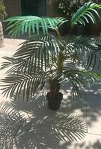 Kunstpalm in zeer goede staat, Ophalen of Verzenden, Zo goed als nieuw, Binnen