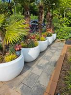 Capi bloempot wit 5 xl - pure luxe - evt. met palmbomen, Ophalen, Kunststof, 40 cm of meer, Rond
