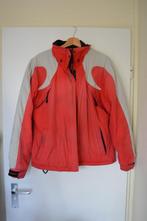 Rode jas, rood jack skijack maat L, Kleding | Dames, Wintersportkleding, Zo goed als nieuw, Jack, Verzenden