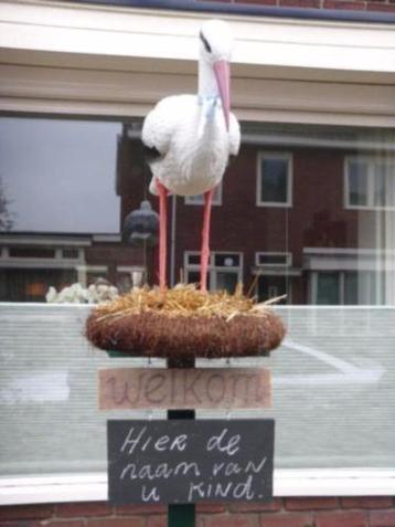 Ooievaarsnest met ei en ooievaar te huur! beschikbaar voor biedingen