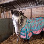 Verzorgpony / verzorger gezocht, Ophalen of Verzenden, Nieuw