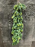 Kunst hangplant hop Brynxz, Binnen, ., Nieuw, Ophalen of Verzenden