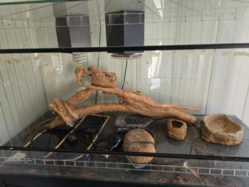 Terrarium  beschikbaar voor biedingen