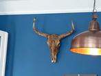 Grote Buffel schedel | wanddecoratie, Ophalen of Verzenden, Zo goed als nieuw
