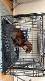 Dog Cage, Dieren en Toebehoren, Hondenbenches, Ophalen, Zo goed als nieuw