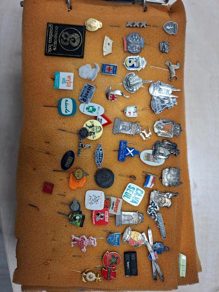 Grote verzameling speldjes/pins, Verzamelen, Speldjes, Pins en Buttons, Gebruikt, Speldje of Pin, Overige onderwerpen, Ophalen of Verzenden