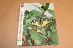 De Mooiste Vlinders — Vintage Vlinderboek [1957], Boeken, Dieren en Huisdieren, Ophalen of Verzenden, Gelezen, Overige diersoorten