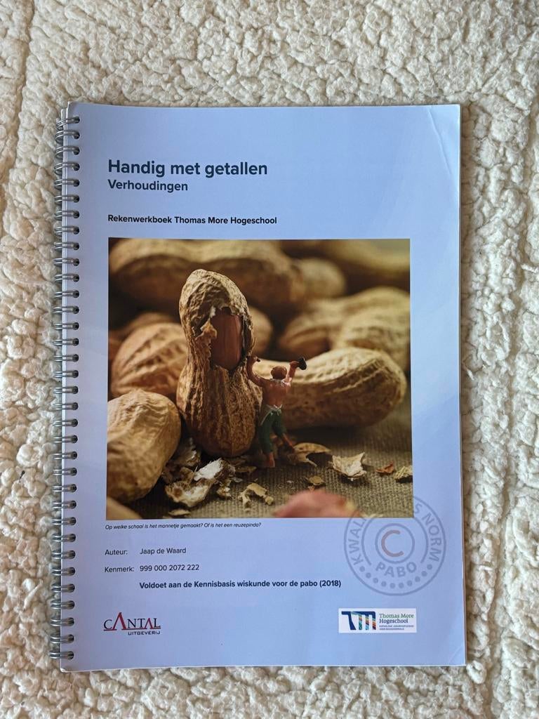 Handig met getallen (verhoudingen) - Pabo studieboek, Boeken, Ophalen of Verzenden, Beta, Gelezen, HBO