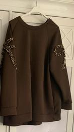 Sweater maat 50/54 bruin, Kleding | Dames, Grote Maten, Ophalen of Verzenden