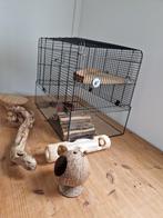 Kooi voor Mongoolse gerbils, Kooi, Minder dan 75 cm, Zo goed als nieuw, Ophalen